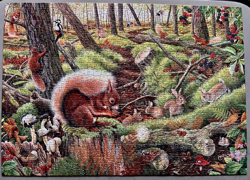 Save Our Squirrels - House Of Puzzles puzzle collectible [Barcode 5060002001738] - Main Image 2