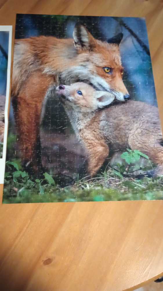 Better Together - Buffalo puzzle collectible - Main Image 2