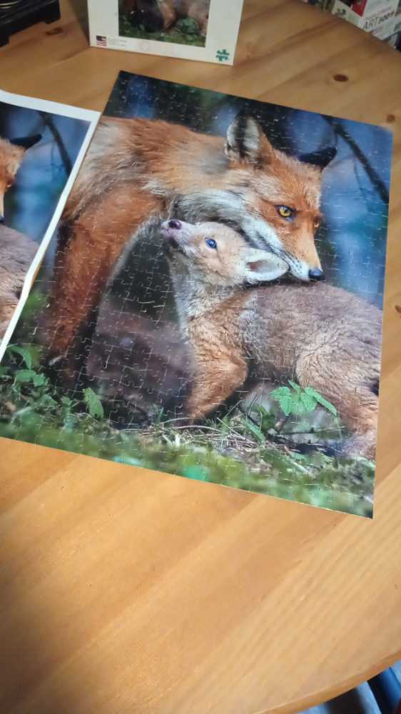 Better Together - Buffalo puzzle collectible - Main Image 4