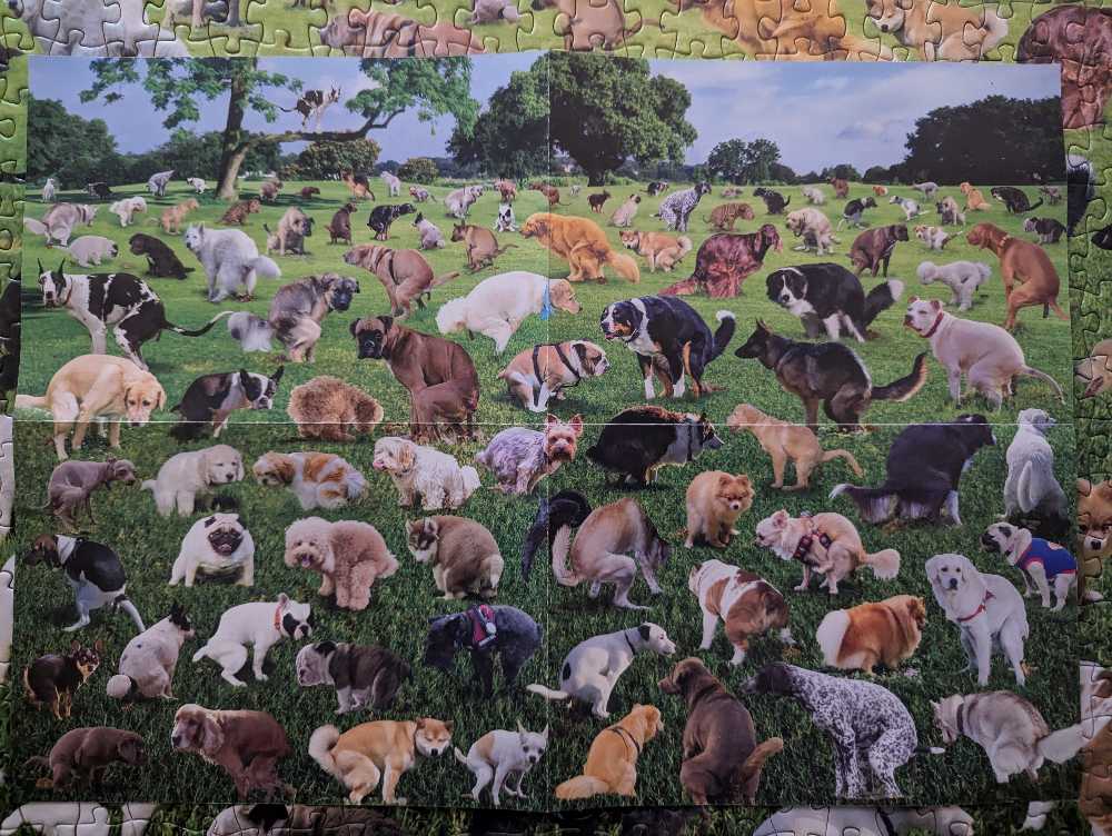 101 Pooping Puppies - Fun Wares puzzle collectible [Barcode 810025792138] - Main Image 4