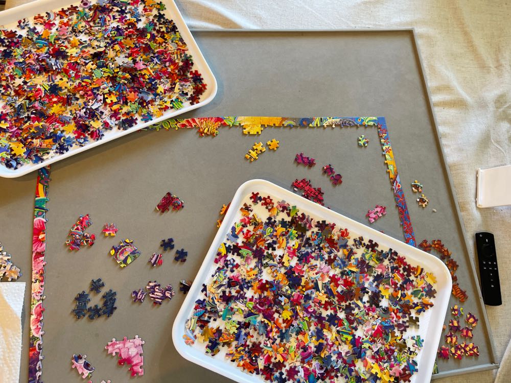 Owl Autonomy ✅❤️ - Buffalo Games puzzle collectible - Main Image 4