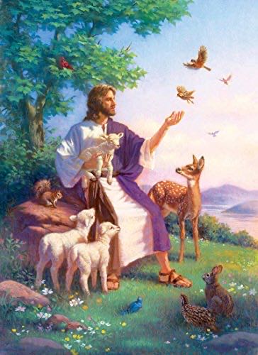 Wasgij Destiny - Road Trip