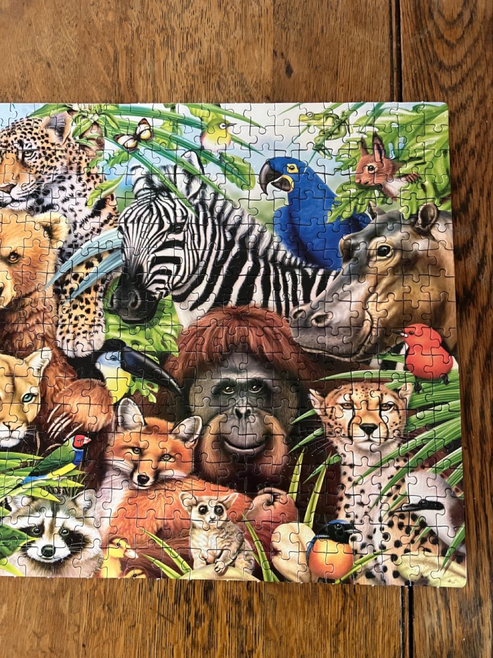 Wildlife - Clemantoni puzzle collectible [Barcode 8005125395170] - Main Image 3