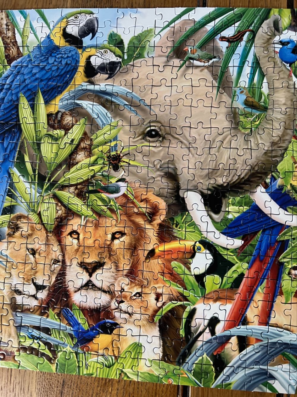 Wildlife - Clemantoni puzzle collectible [Barcode 8005125395170] - Main Image 4