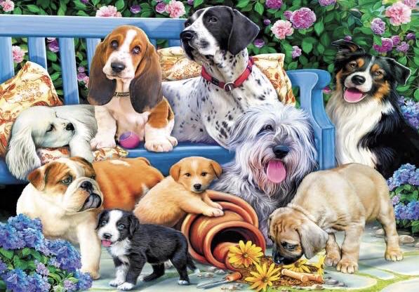 Dogs In The Garden - Trefl puzzle collectible [Barcode 5900511105568] - Main Image 2