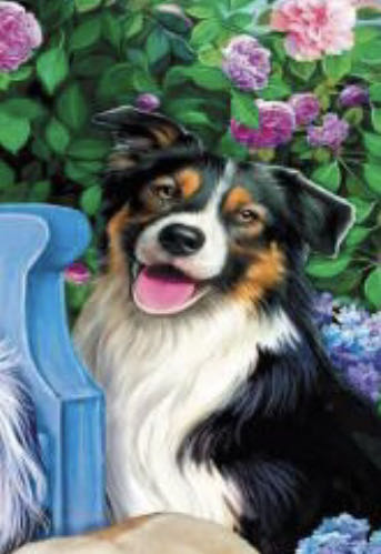 Dogs In The Garden - Trefl puzzle collectible [Barcode 5900511105568] - Main Image 4