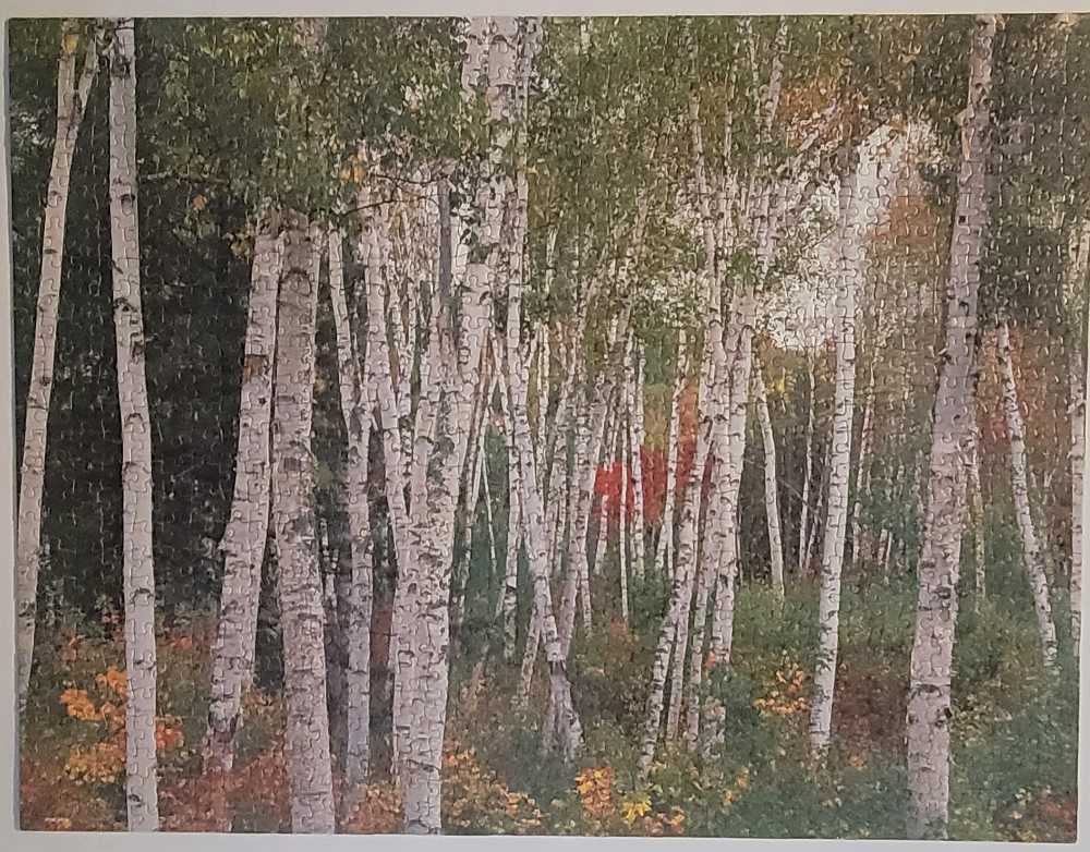 Shelburne, NH, USA - Hasbro MB Puzzles puzzle collectible [Barcode 032244049620] - Main Image 2