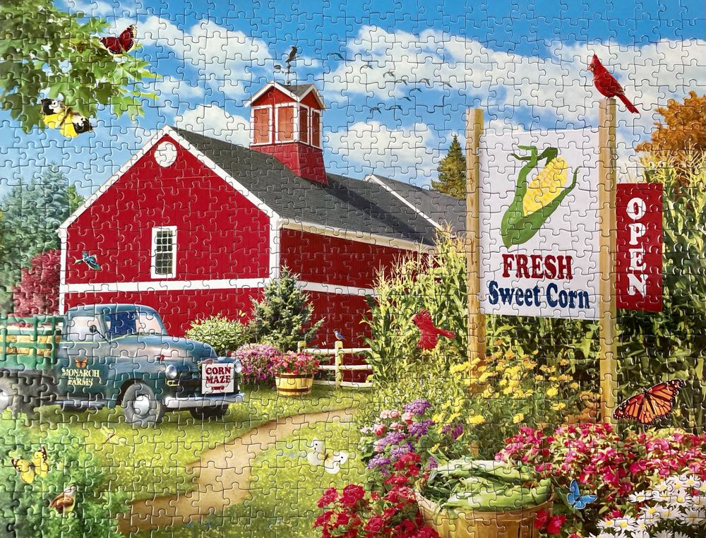 Dunns Creek Safety Beach 59309