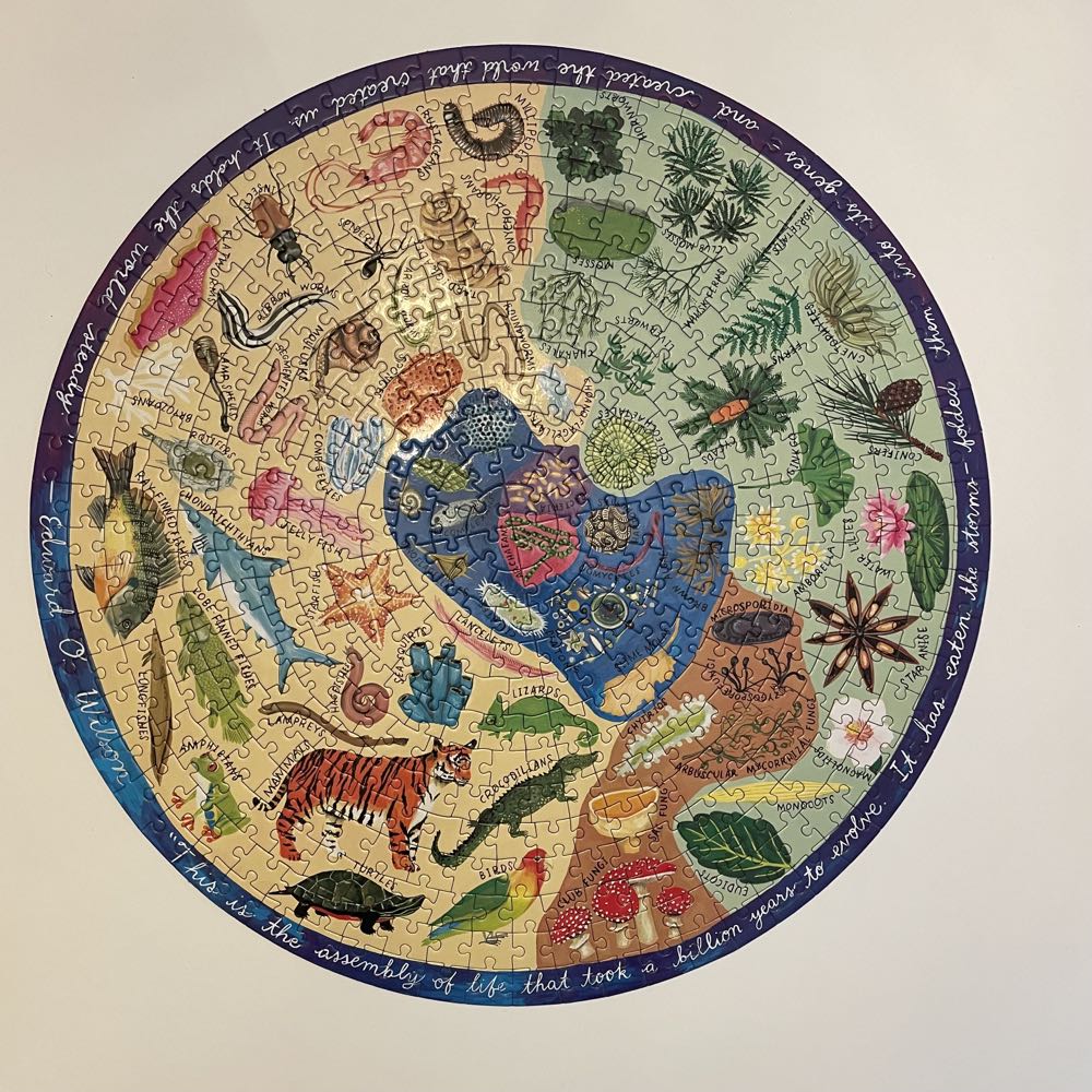 Biodiversity - Eeboo puzzle collectible [Barcode 689196507274] - Main Image 3