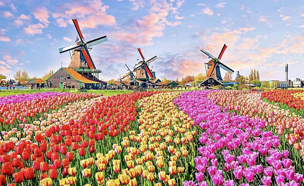 Take Me to the Netherlands ♻️ - Hinkler puzzle collectible [Barcode 9354537004347] - Main Image 2