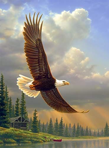 Disney Parks Disneyland Resort 60th Anniversary