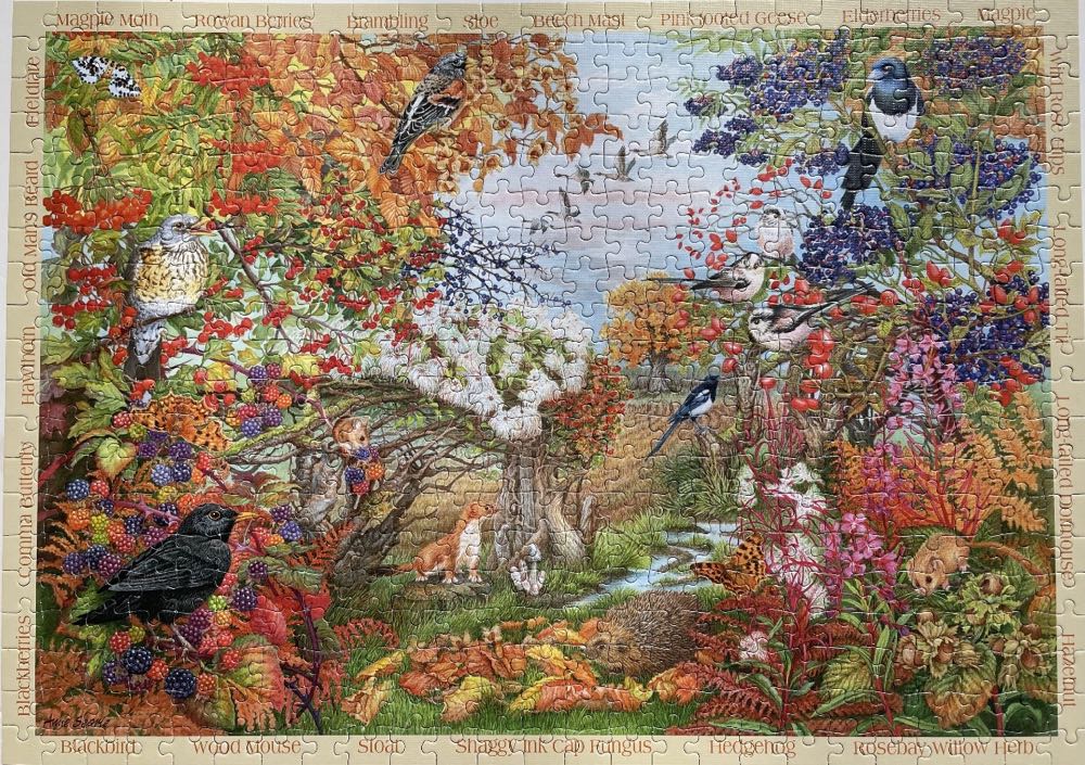 Autumn Hedgerow 🟦 - Falcon de luxe puzzle collectible [Barcode 8710126112700] - Main Image 3