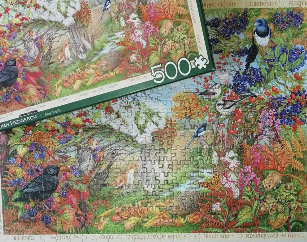 Autumn Hedgerow 🟦 - Falcon de luxe puzzle collectible [Barcode 8710126112700] - Main Image 4