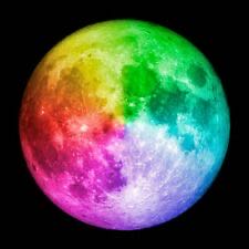 Image 43136