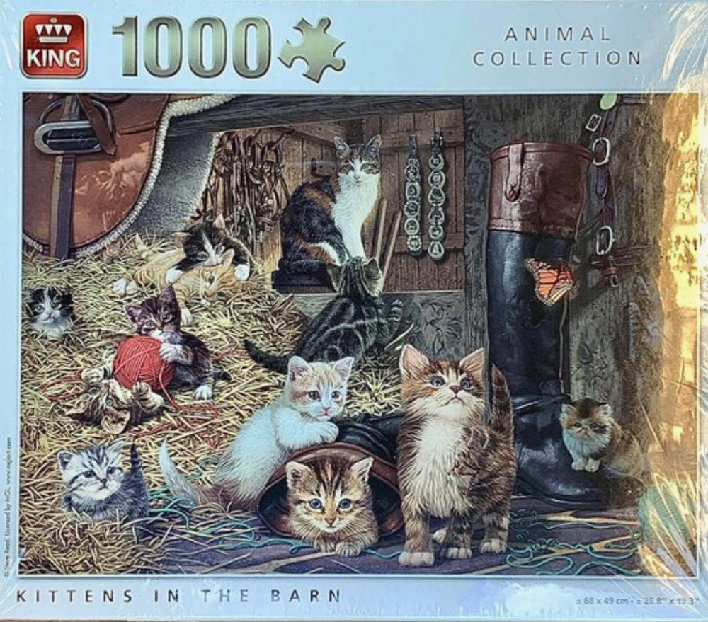 When Dreams Come True