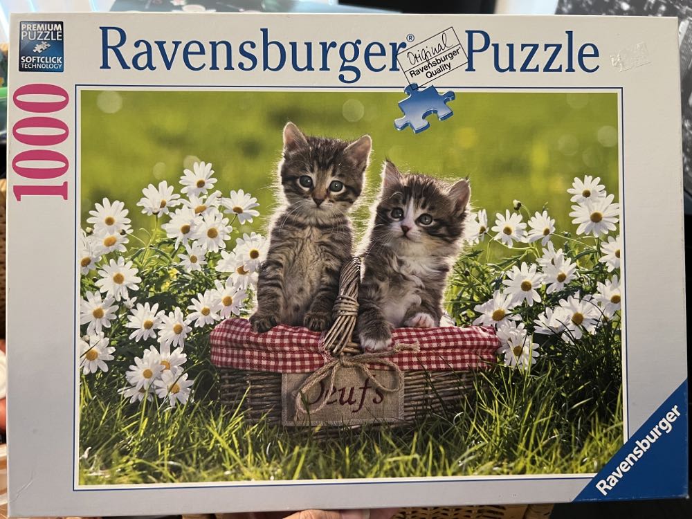 Colorful Flower Collage