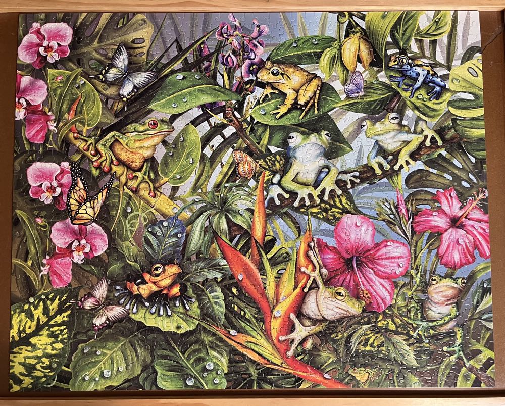 Frogs Gone Wild-Chs - White Mountain Puzzles puzzle collectible [Barcode 724819250257] - Main Image 2