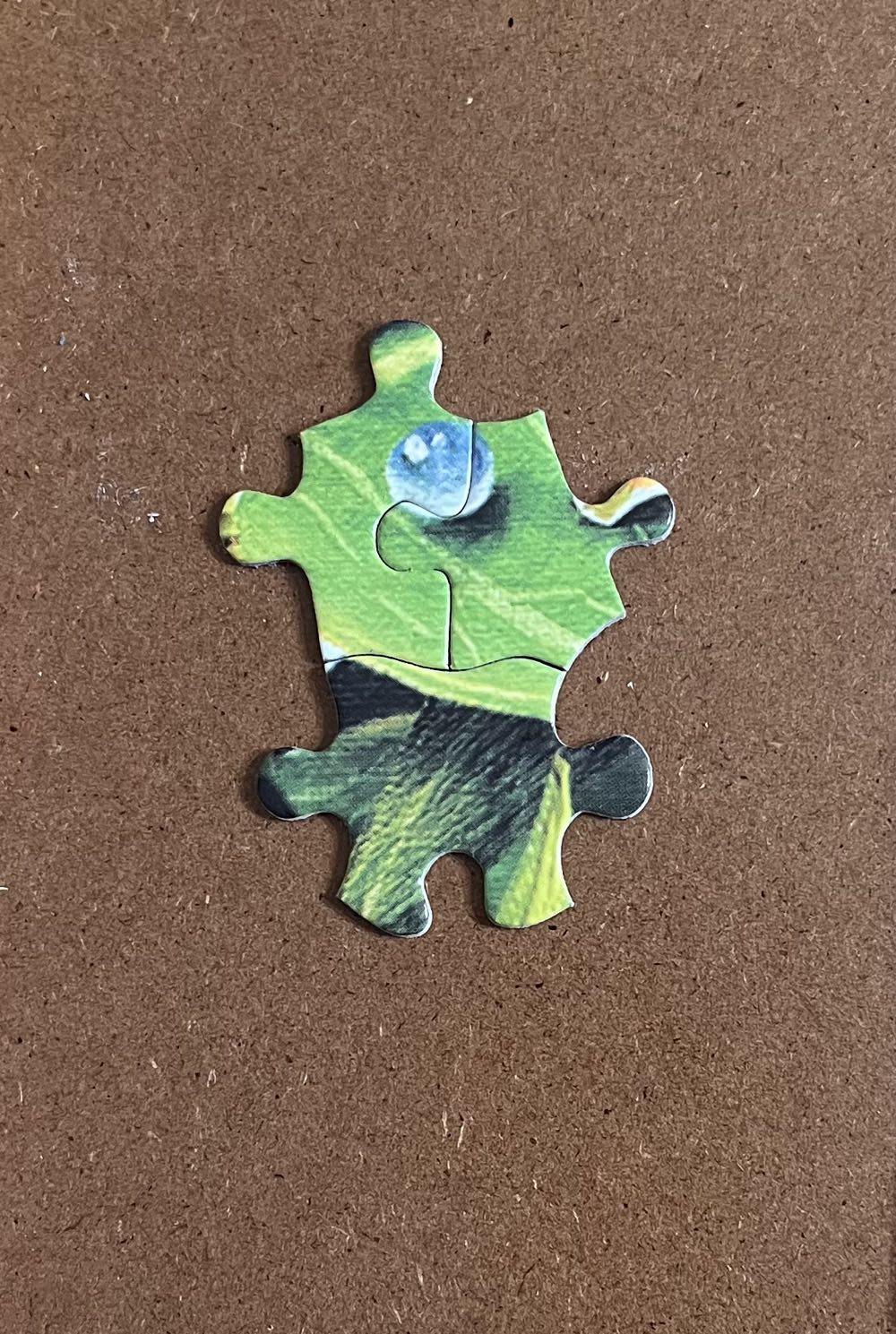 Frogs Gone Wild-Chs - White Mountain Puzzles puzzle collectible [Barcode 724819250257] - Main Image 4