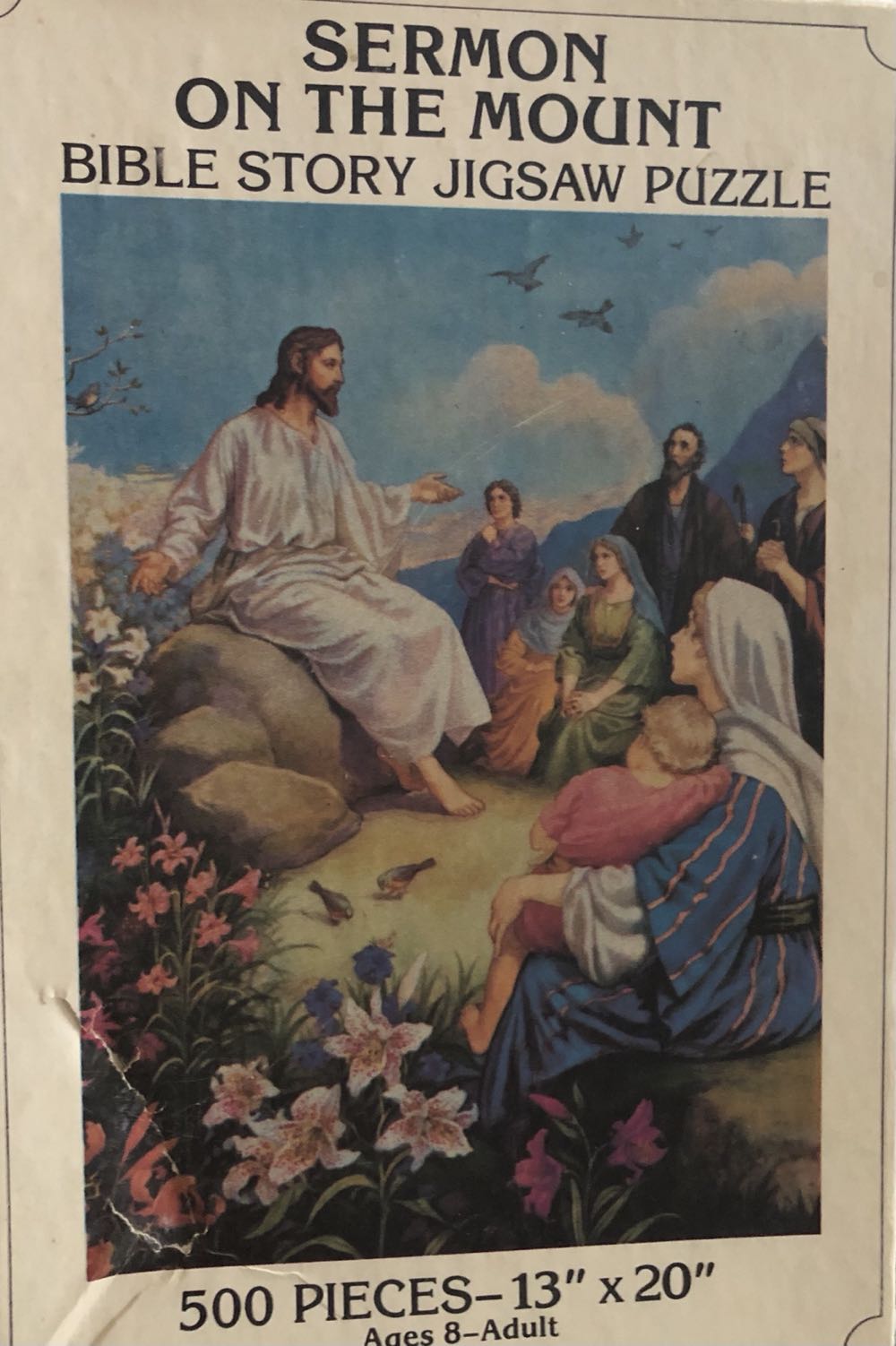 Betoverd Drakenland/Enchanted Dragon Land