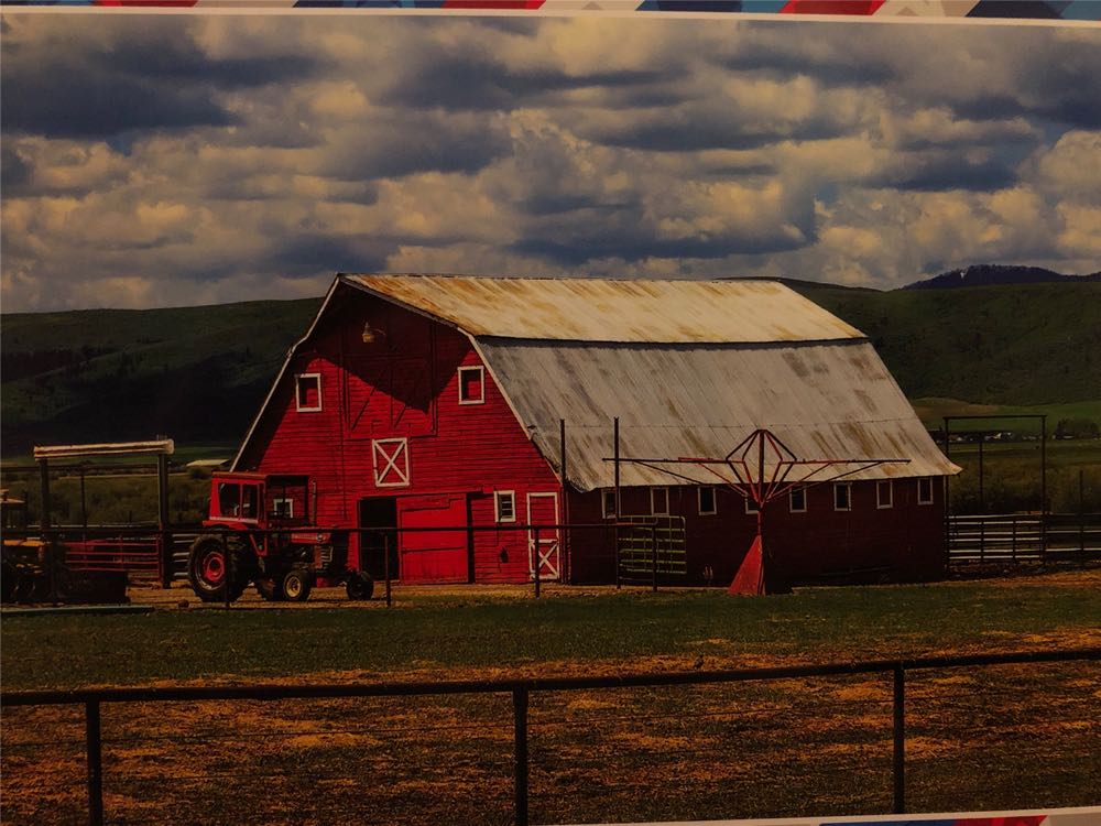 Asian Forest Piece Jigsaw Puzzle