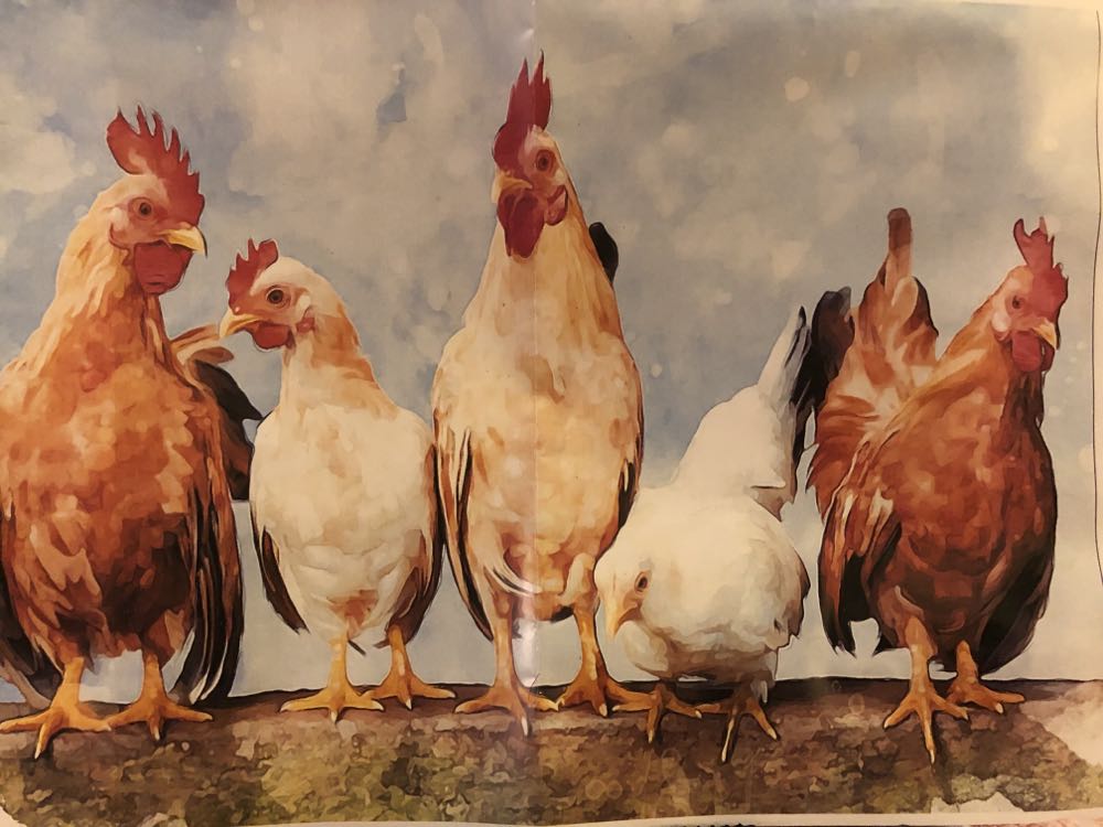 National Parks 8 Puzzle Set