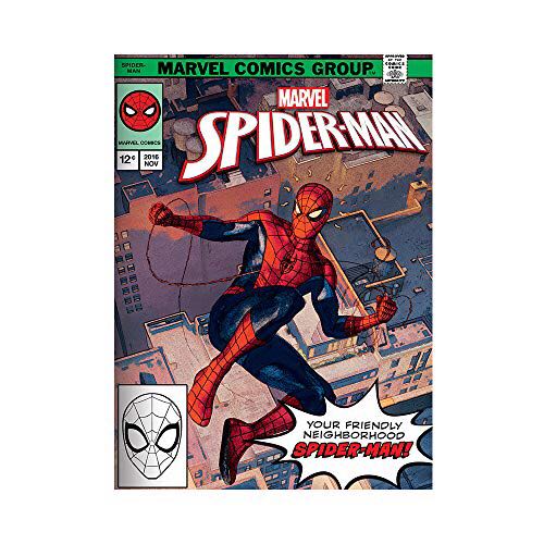 Gina Jane Hydrangea’s