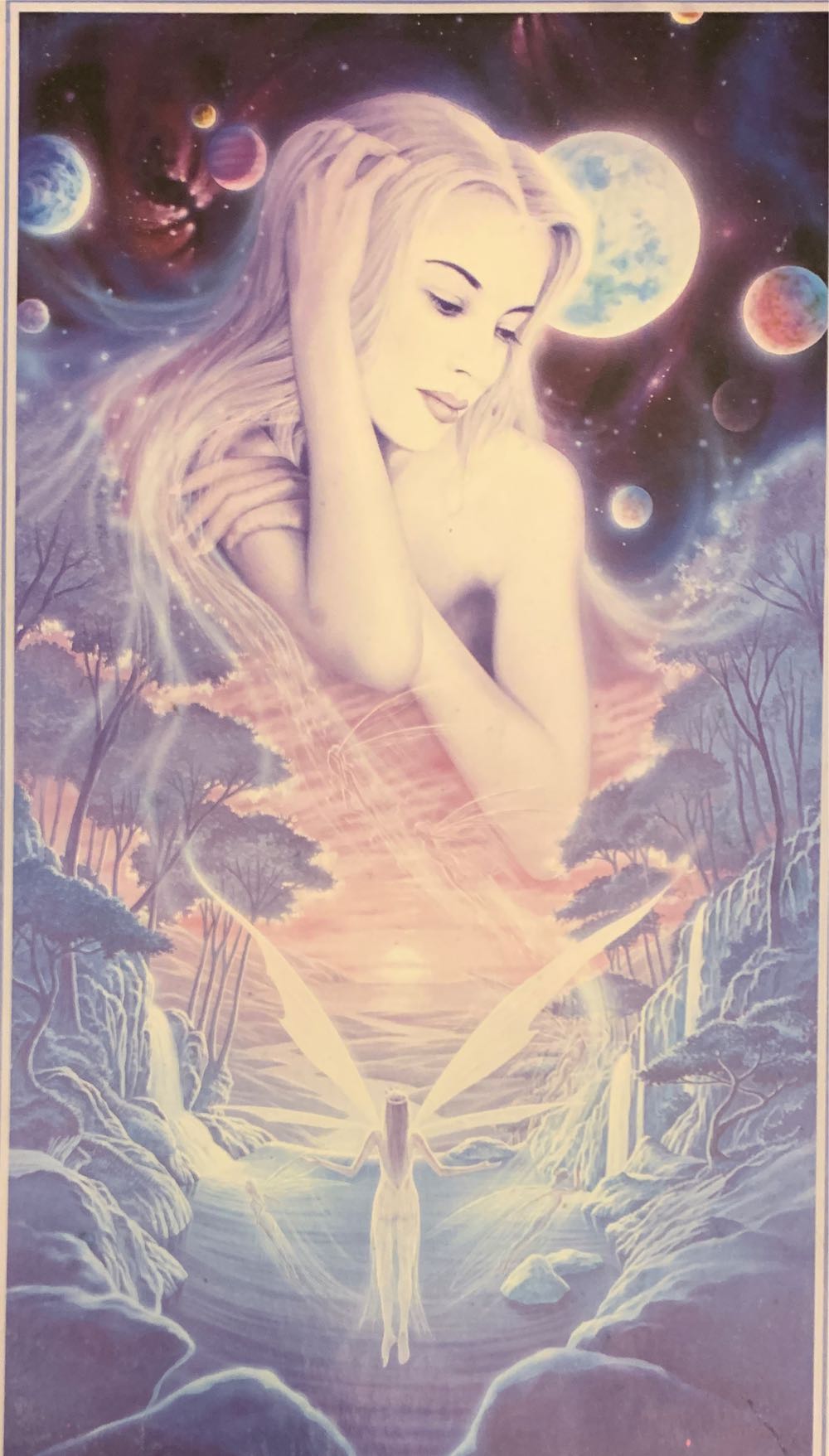 Fx Schmid 750 Pc Panorama Decor Jigsaw Puzzle Birds Of Paradise Nib