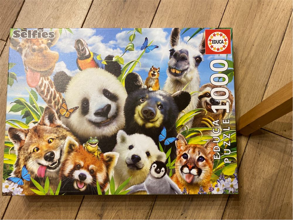 Thomas Kinkade Shimmer