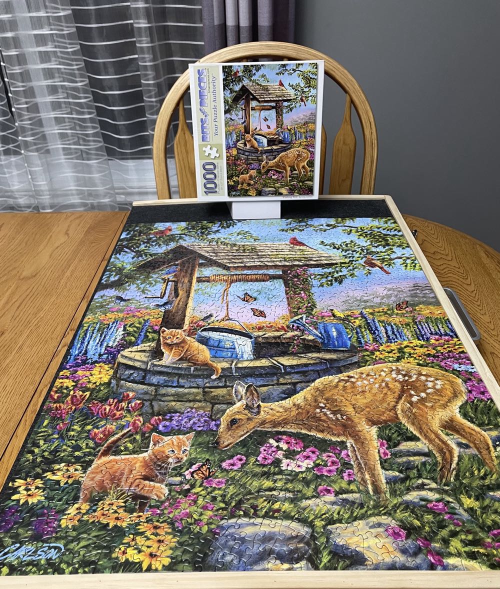 Wishing Well - Bits & Pieces puzzle collectible [Barcode 192949031150] - Main Image 2