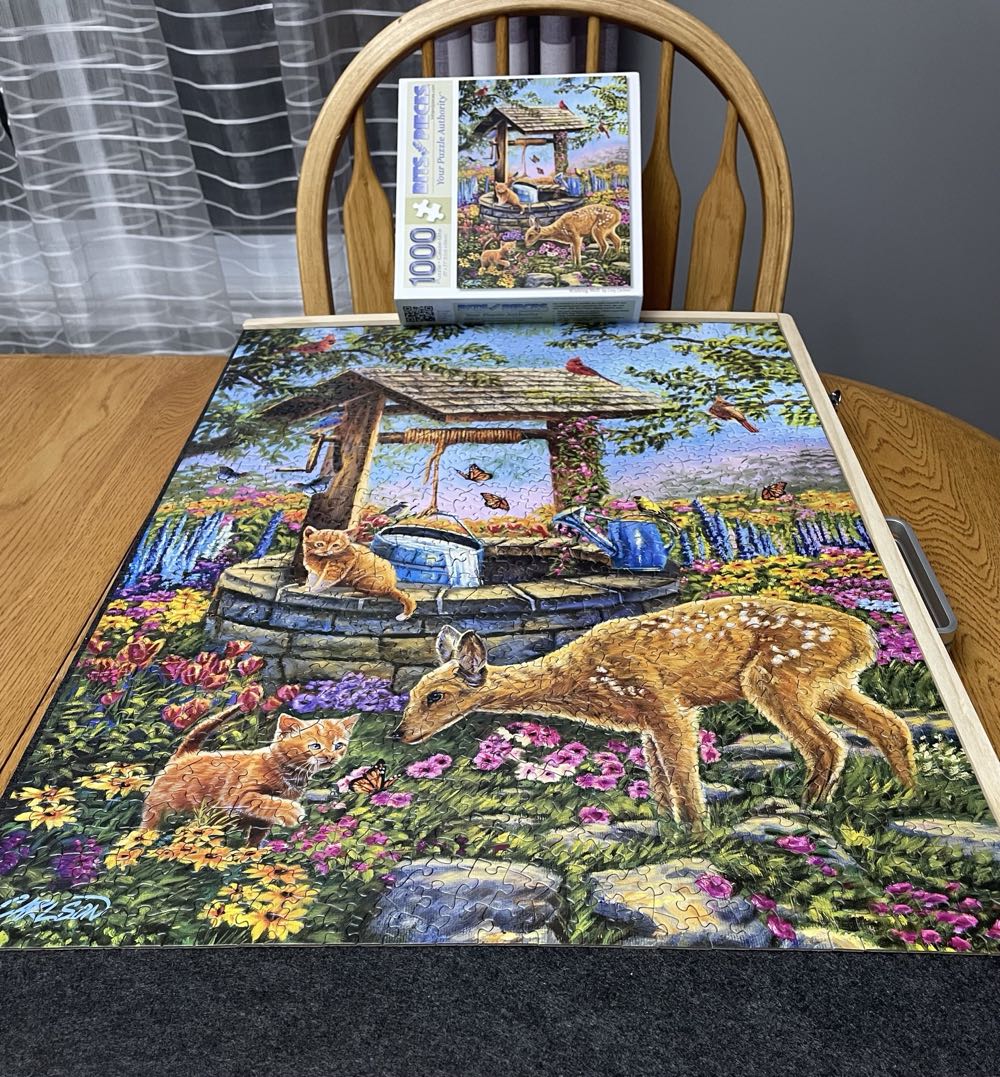 Wishing Well - Bits & Pieces puzzle collectible [Barcode 192949031150] - Main Image 4