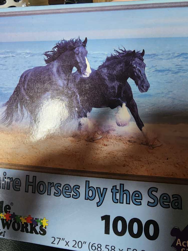 Shire Horses By The Sea Puzzle Pieces 27” X 20” Inches  puzzle collectible [Barcode 645336201037] - Main Image 1