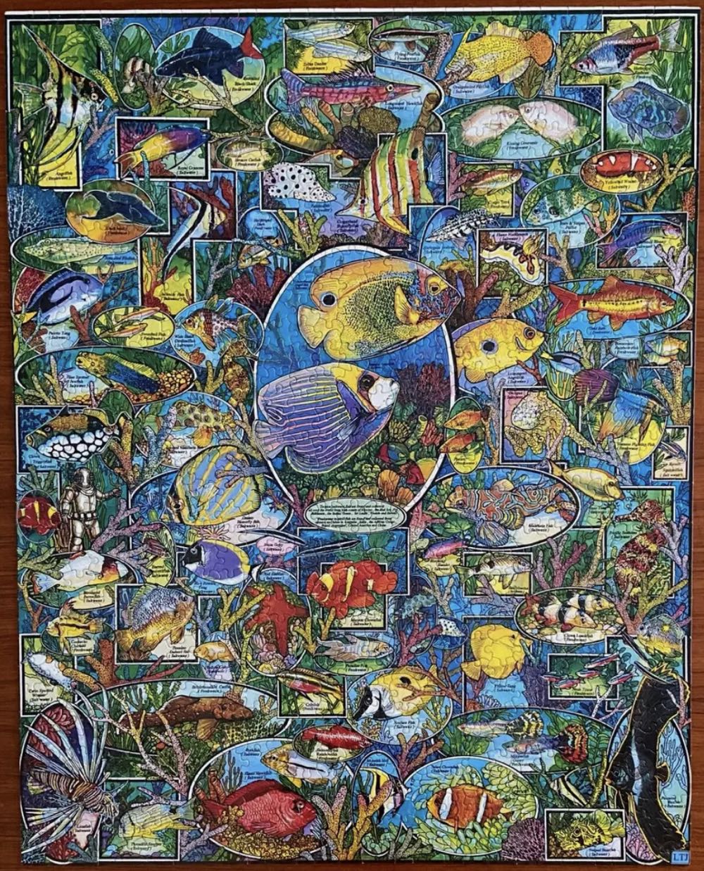 Tropical Fish - White Mountain puzzle collectible [Barcode 724819247868] - Main Image 2