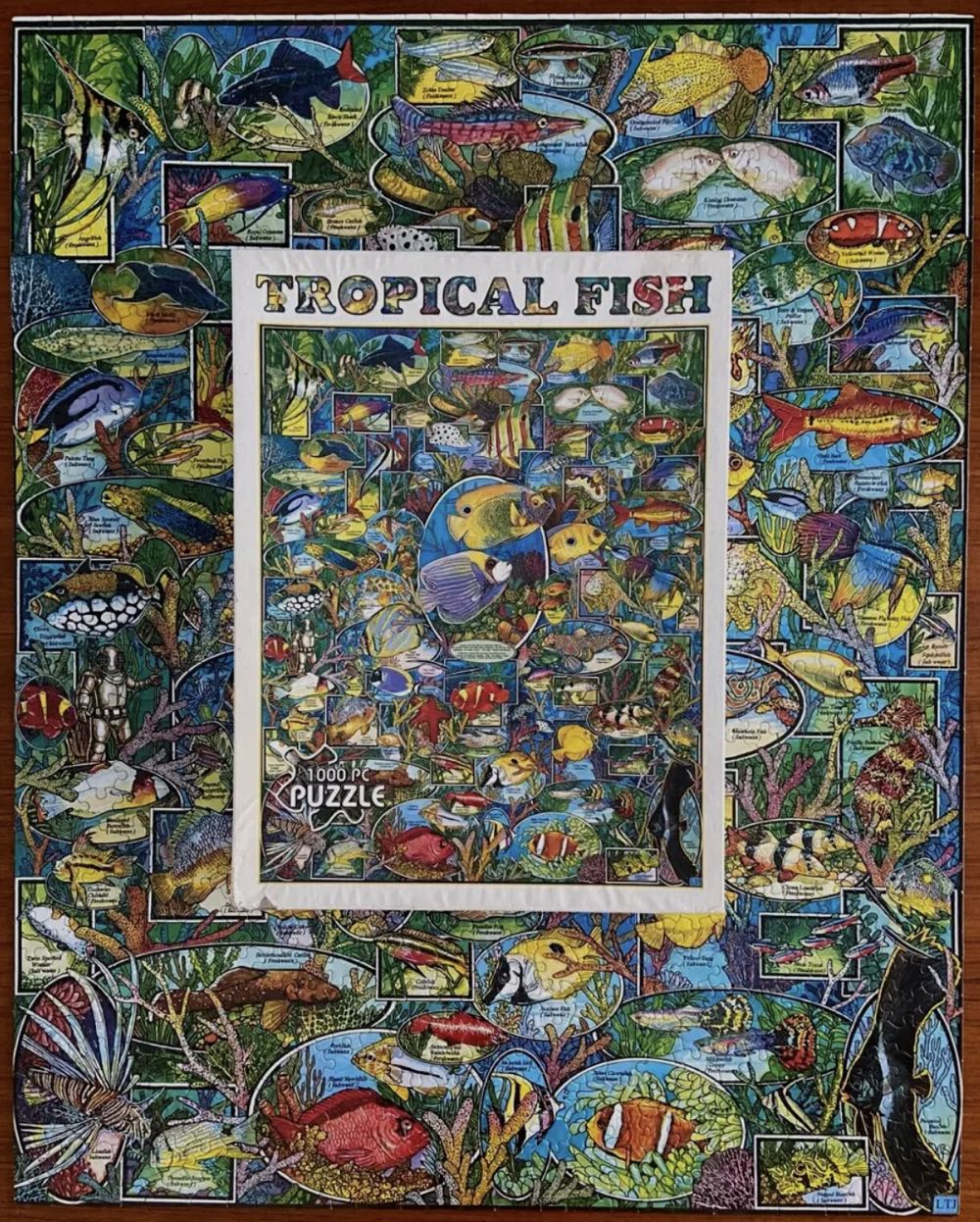 Tropical Fish - White Mountain puzzle collectible [Barcode 724819247868] - Main Image 3