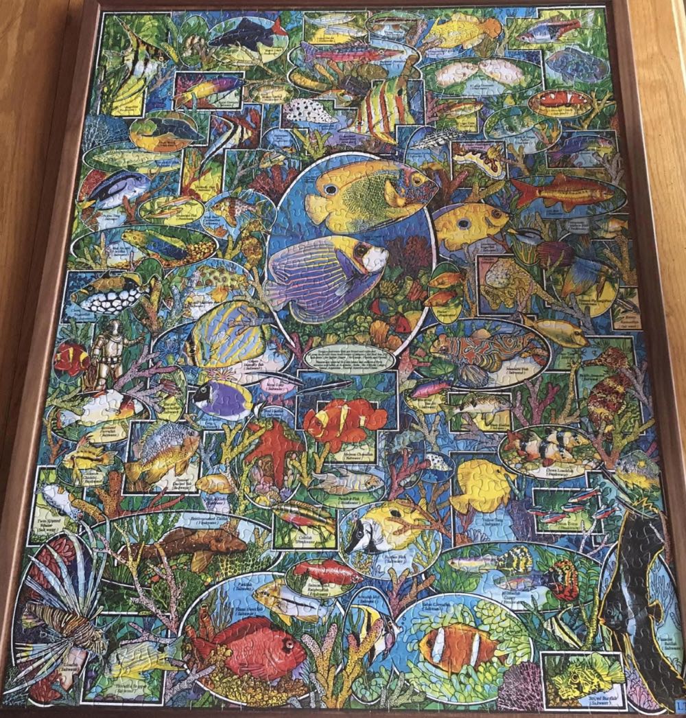 Tropical Fish - White Mountain puzzle collectible [Barcode 724819247868] - Main Image 4