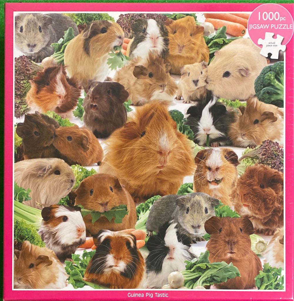 Echo Frogs 500 Pc Jigsaw 3d Hanging Around S Visual Echo 3d 500 Piece Jigsaw Hobbico