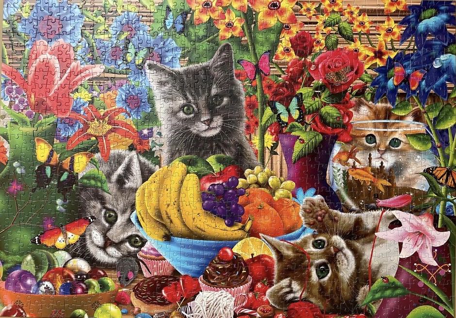 Kitten Fun - Bluebird Puzzle puzzle collectible [Barcode 3663384701832] - Main Image 3