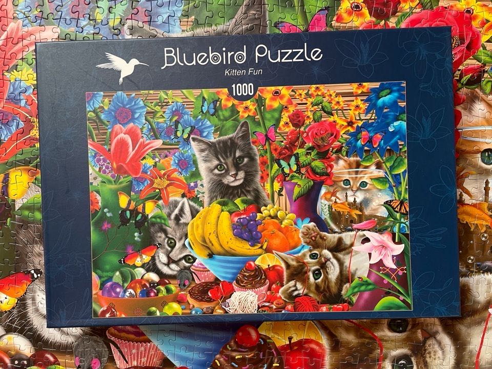 Kitten Fun - Bluebird Puzzle puzzle collectible [Barcode 3663384701832] - Main Image 4