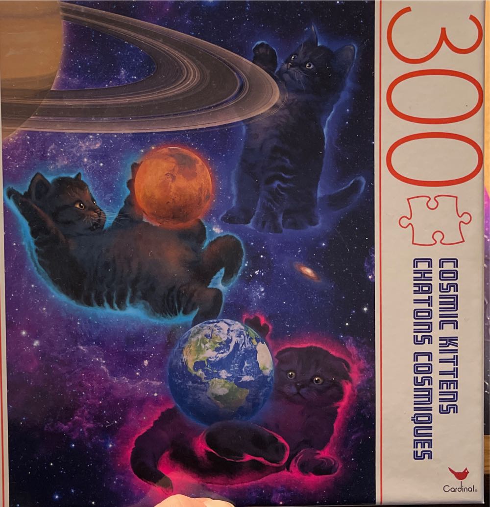 Gourmet : Pumpkin Soup