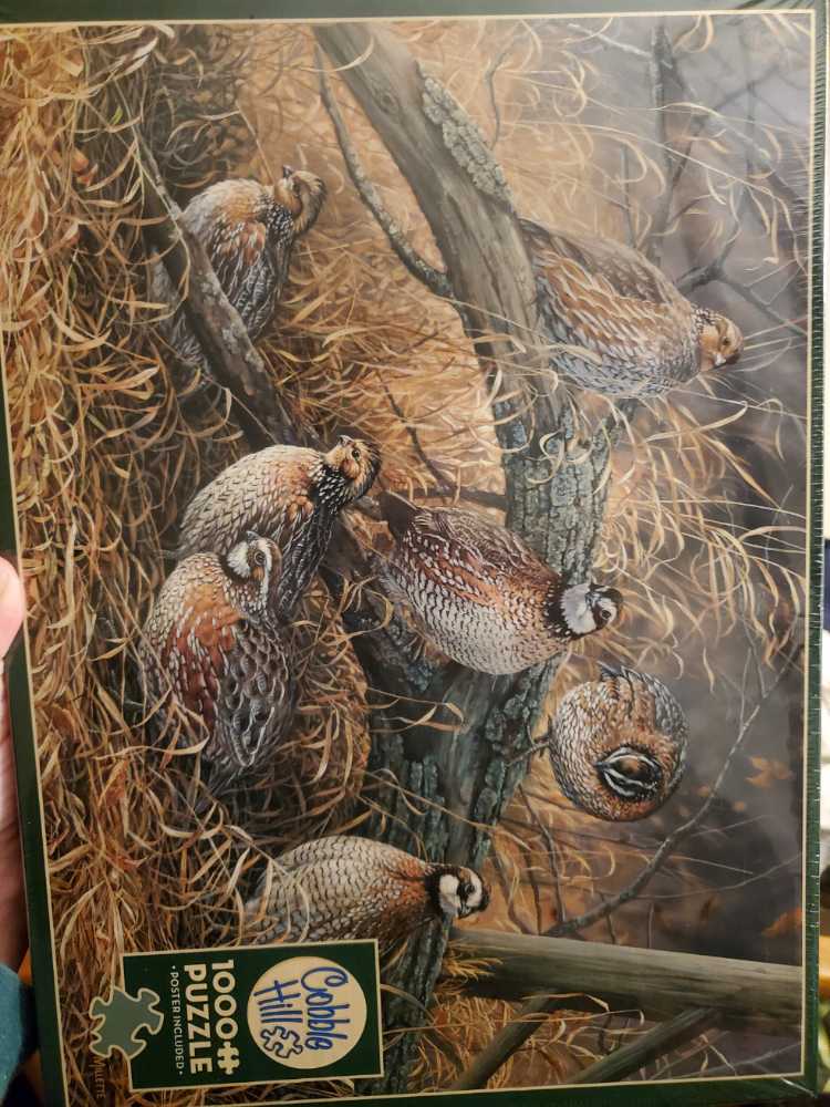 Quail - Cobble Hill puzzle collectible [Barcode 625012801942] - Main Image 2