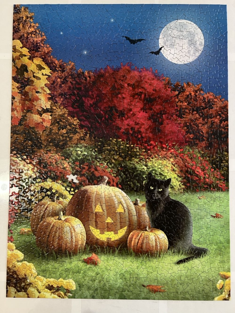 Midnight NIB  - Bits & Pieces New 🚪 puzzle collectible [Barcode 192949064141] - Main Image 2