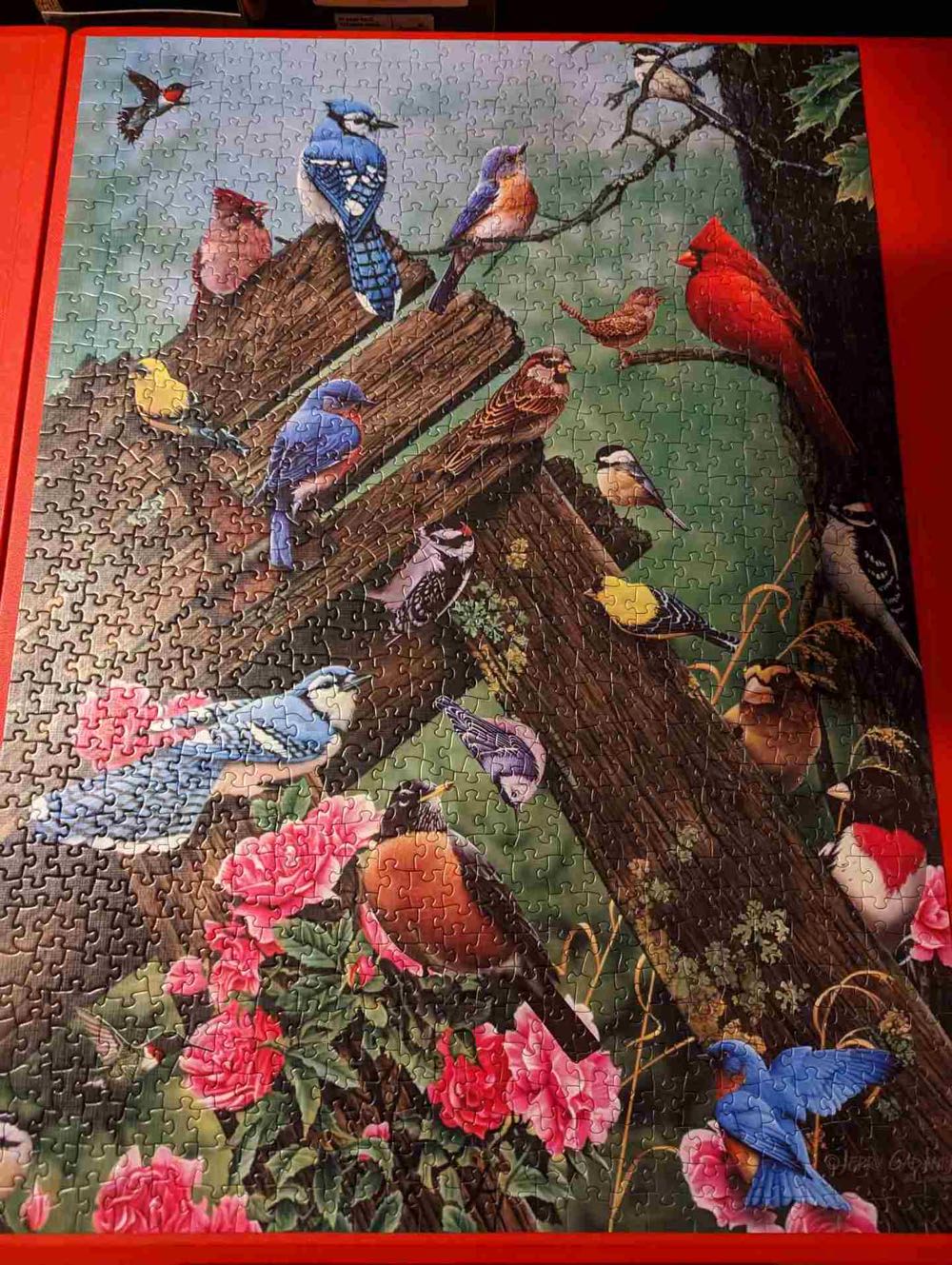 Birds Of The Forest - Cobble Hill puzzle collectible [Barcode 625012800860] - Main Image 2