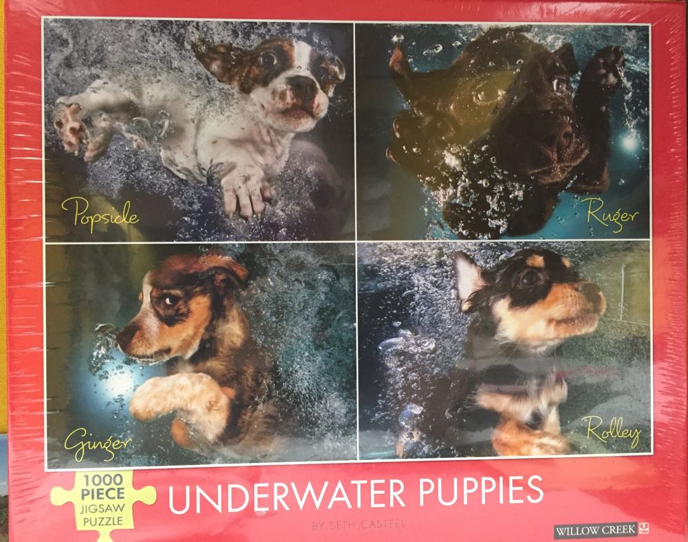 Window On The Potting Shed