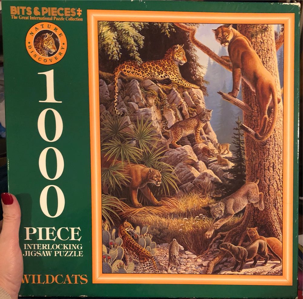 Kodak Four Piece Puzzles In One Box: Bright Lights Ballooning Fun And More