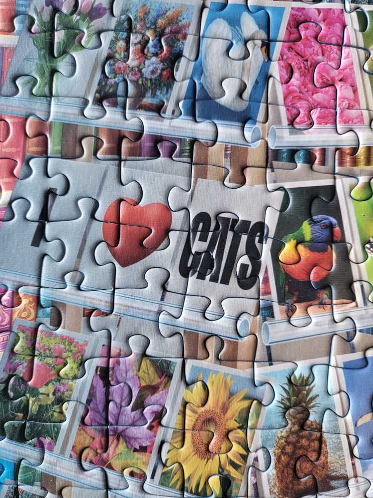 The Book Palace - Ravensburger puzzle collectible [Barcode 4005556169597] - Main Image 3