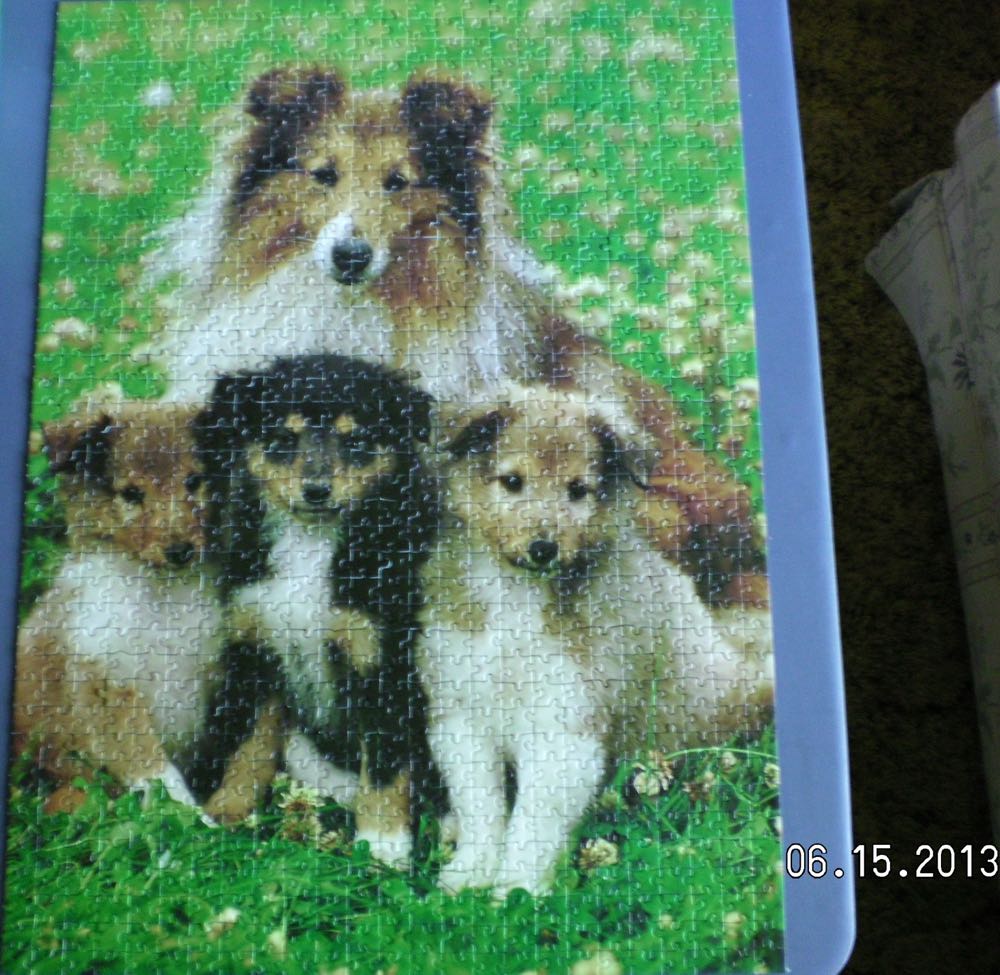 Dog With Puppies - Schmidt puzzle collectible - Main Image 2