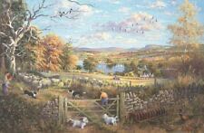 Anatolian: Carpet Sale In Cairo