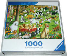 Beyond the Kelp Mini