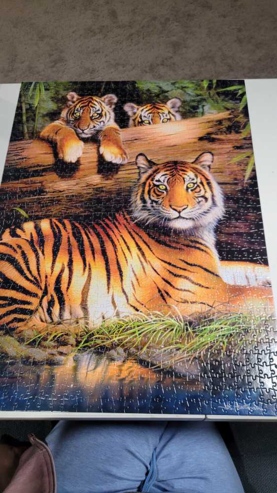 Quiet Fire - Buffalo Games puzzle collectible [Barcode 079346111947] - Main Image 3