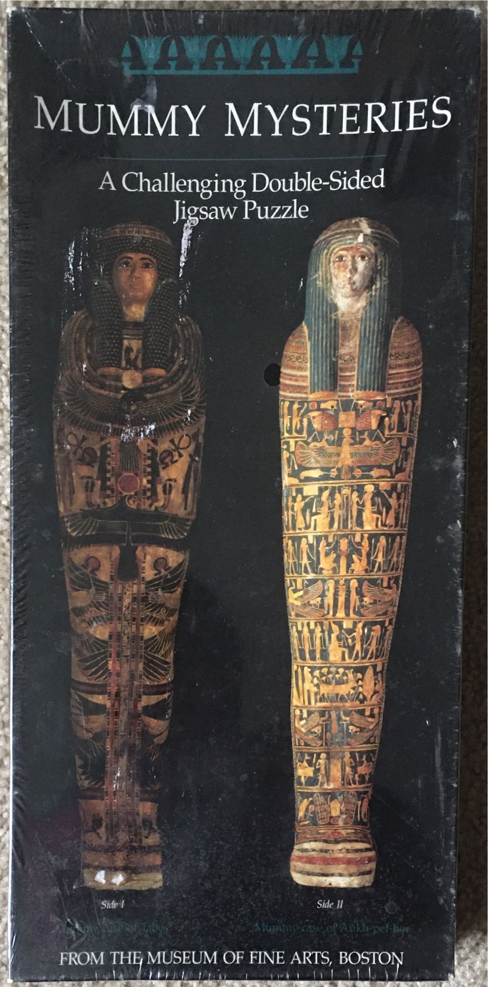 Dracula In Dr. Seward’s Library