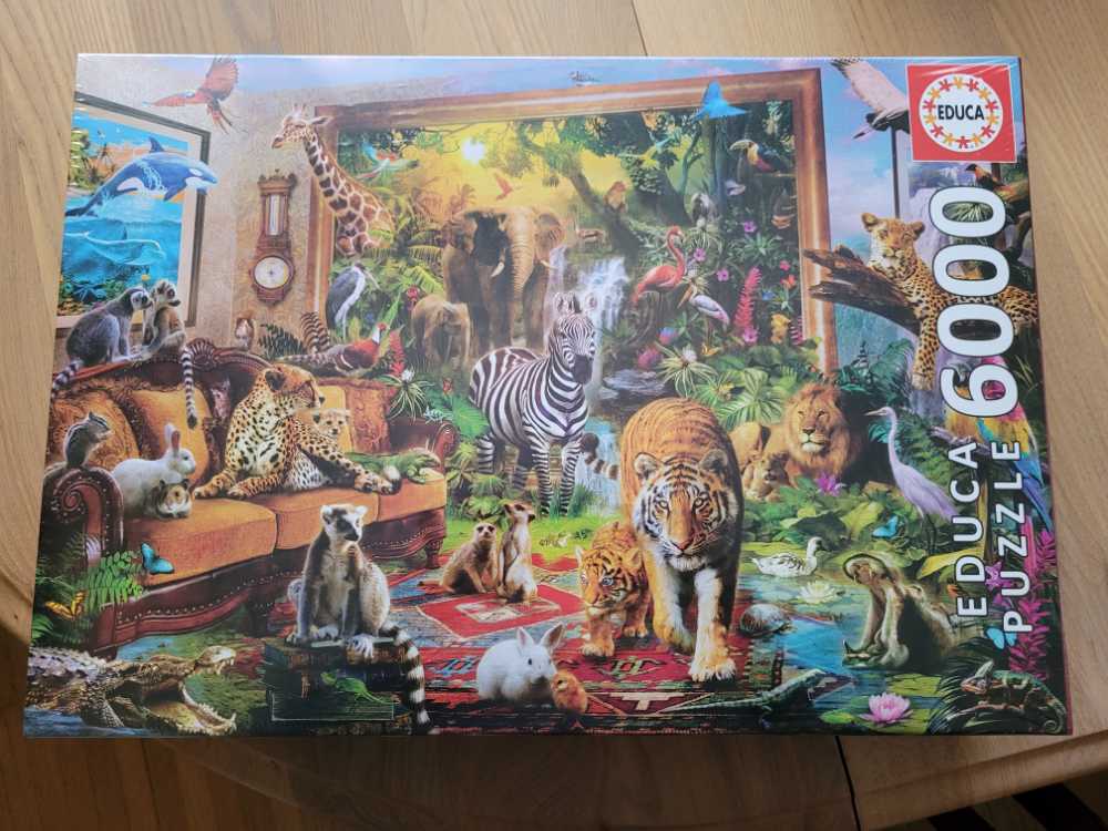 Scooby Doo Escape The Carnival